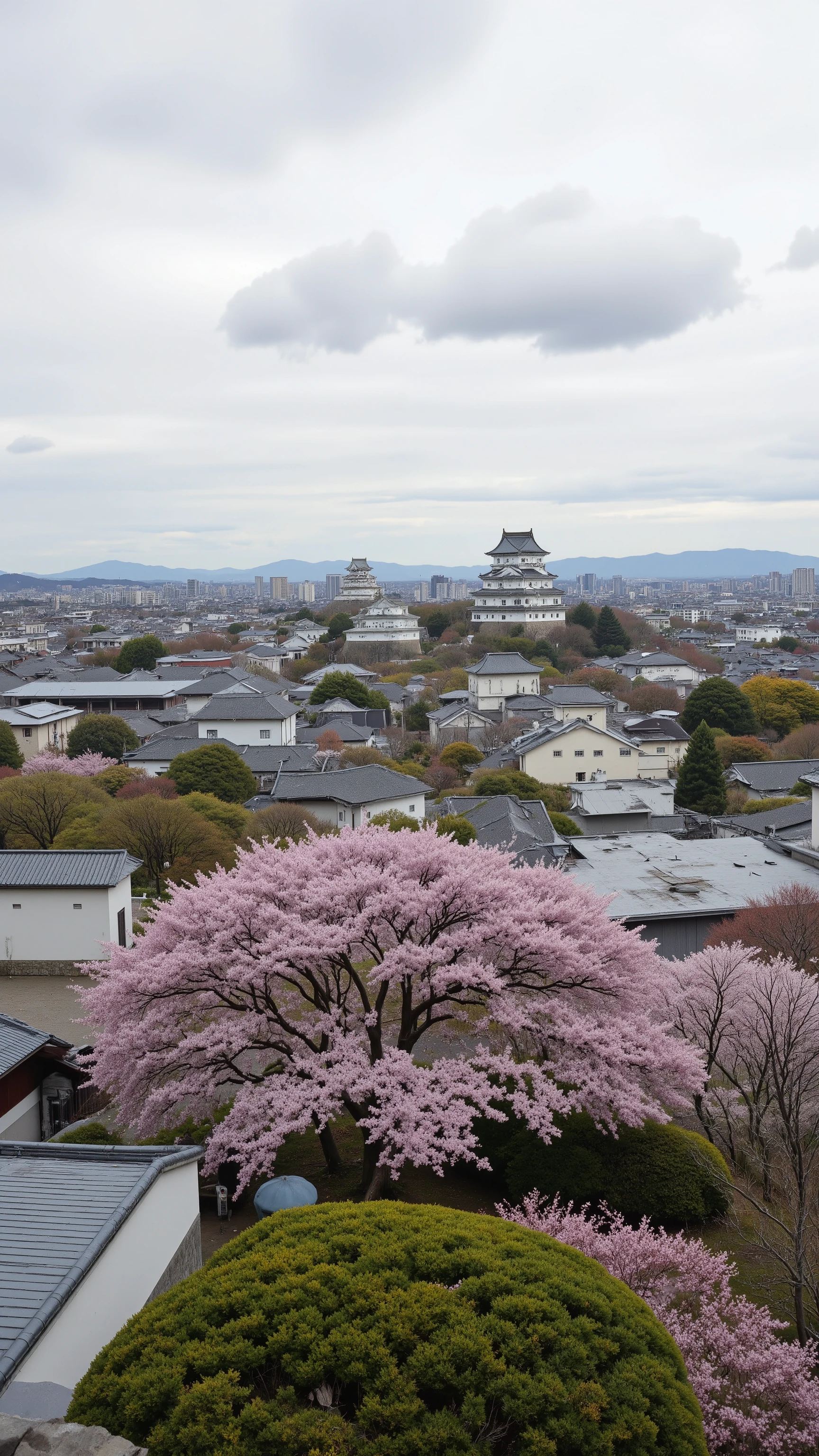 high res images、( Japanese Castle)Ninomaru and Sannomaru on large grounds、cherry tree々や花のPhotos of Himeji Castle in Hyogo Prefecture、picturesque cityscape background、Digital Images 、A high-resolution white shining castle、 Dreamy Castle 、Highly detailed digital images 、High Resolution Digital Paint、(Castle Town Scenery)View from the top of the station building。