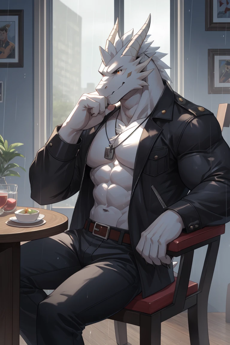 masterpiece, alone, Furry gray dragon, aldult, gray fur, Gray beard, blue eyes, gray short hair, muscular body, nice, Handsome, fiercely, casual shirt, casual pants, cool pose, sit