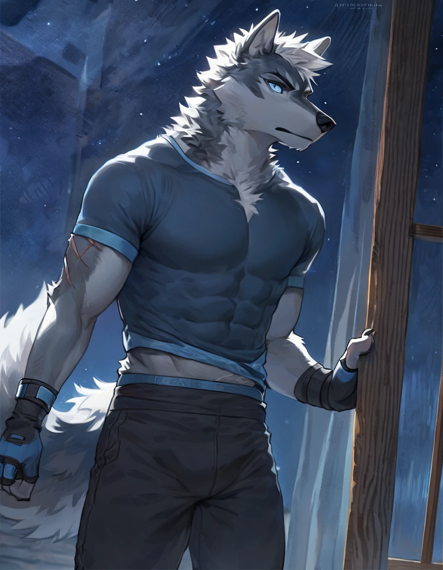 (solo), male anthro wolf, solo, masterpiece, best art, detailed hands, detailed eyes, night, abs, bedroom, arm scar, anime newest artstyle, extreme detail, white hair, dark blue grey body, white underside, icy blue eyes, tight shirt, standing, fingerless gloves, pants