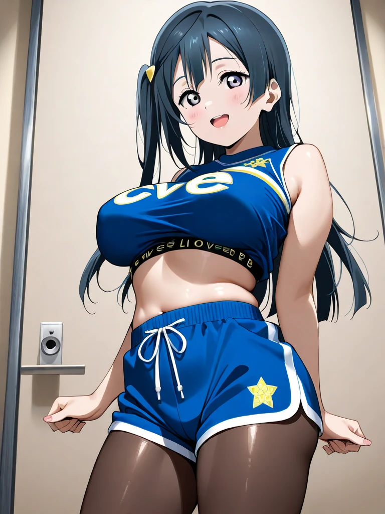 masterpiece),(ultra-detailed), (high quality), (high resolution), (best quality:1.5, highres, UHD), highres, absurdo, ultra detail, ultra quality, Ultra resolution, 16k, ((2heads:1.5)), 1girl, ((anime girl with two heads)), ((dark brown hair)) ((black hair)), ((female wrestler)), ((blue crop top)), exposed midriff, ((blue hot pants)), wrestling ring, wrestling, ((blue outfit)), sexy wrestler, (blue eyes), villainess, smirk