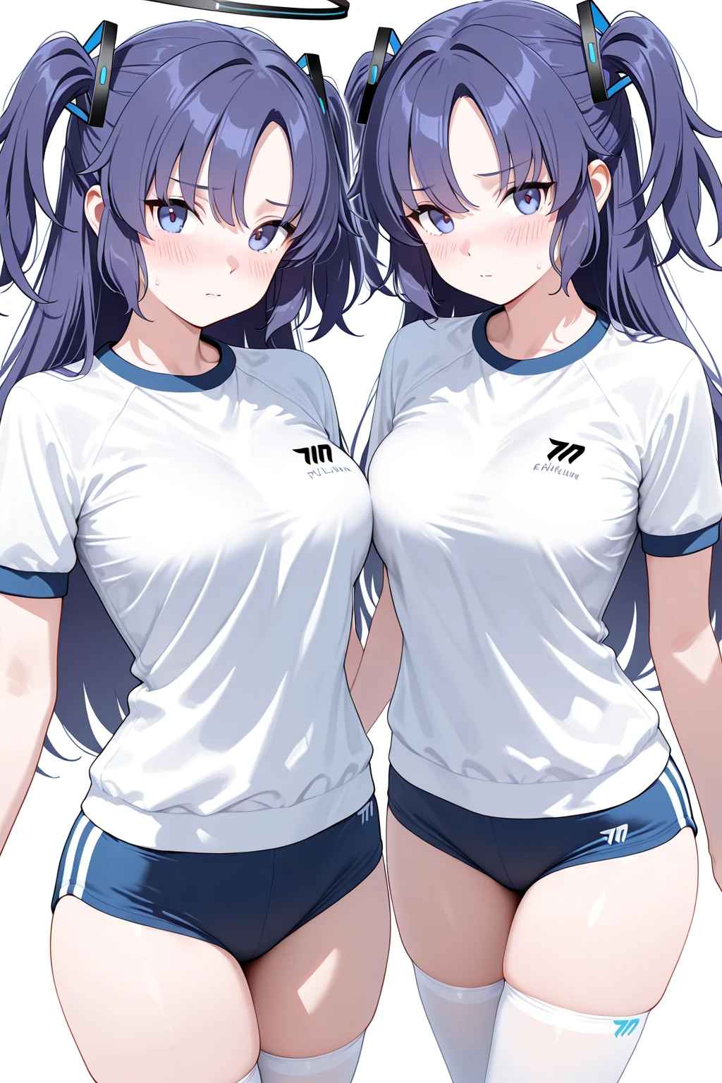 Masterpiece, best quality, ultra high quality, highres, wallpaper 8k, ,1girl, duo, Two women, Two women standing, Two women face to face, purple_hair,purple_eyes,very_long_hair,grey_hair,braided_ponytail,large_breasts,gradient_hair, Shorts,