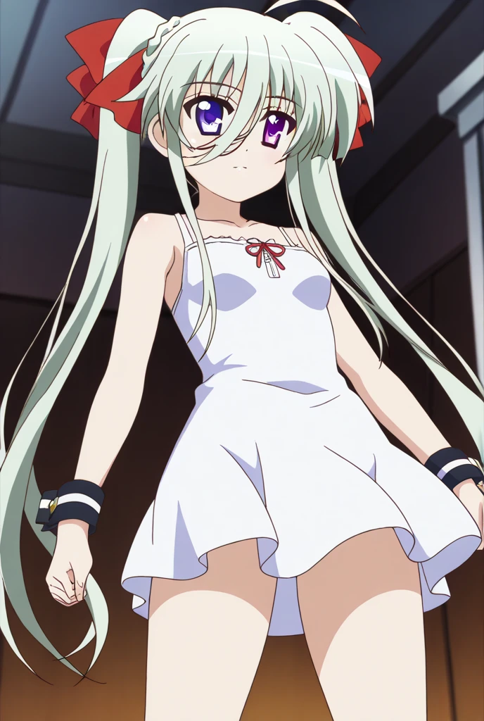 1 girl、Silver Hair、Pale skin、Long Hair、Red flower hair ornament、Emerald green eyes、Small breasts、、、High resolution、highest quality、Anime Moe Art Style、Cowboy Shot、Skirt Lift、Self Lift、Plush panties、lingerie、、Panty shot、Rear view、Outdoor、stomach