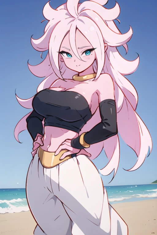(masterpiece, best quality:1.2), cowboy shot, (solo), (1girl):1.5, glasses, long fluffy pink hair, hair blowing, gorgeous body, wide hips, slight smile, ((very sexy and transparent (clothes)) with exposed navel), musculous belly, gorgeous huge breasts, ((pink breasts niples) under very transparent clothes), (cameltoe), in front a waterfall in a windy beach, view form sea to beach.