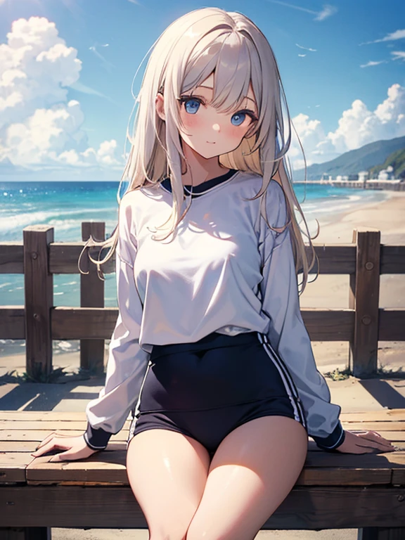 (masutepiece), (Best Quality), hyper detailed illustration,beautiful artwork,(Extreme Detail CG Unity 8K wallpaper、masterpiece、top-quality)、(exquisite lighting and shadow、highly dramatic picture、cinematic lens effects)、One girl in grey hoodie and school swimsuit standing beach, black long haired girl wearing hoodie, beautiful Girl, CG Art, anime style 4 k, Seductive Girl, 4k wallpaper, attractive girl, beautiful Girl, beautiful alluring teen, Art styles, Look back,Wake up with water,(Evil smile),Brown eyes,Wide blue sky,(Tsurime),(straggling hair),Saw,poneyTail,(on the beach),beach side,(light sparkles),(light particles),(strong light coming in),(arched body:1.2),(head tilt:1.1),