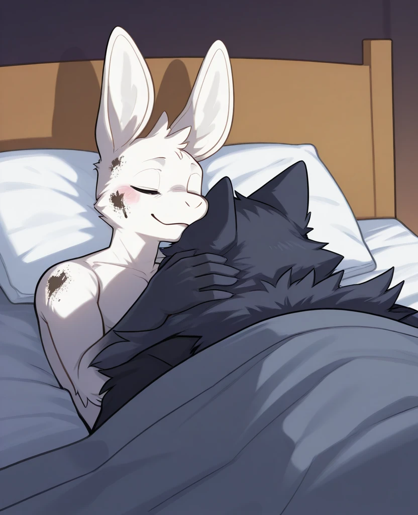 score_9,score_8_up,score_7_up, source_anime, source_furry, Anthro furry wolf girl, Fluff, wolf face fluff, hair, blend in with character,