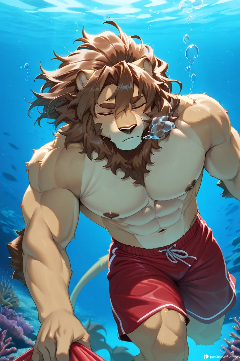 A male lion, buff, brown hairy mane, brown hairy chest, brown hairy arm, brown hairy armpits, shirtless, wearing tight underwear, in a pool, smiling, mouth open, fang teeth, hd 8k