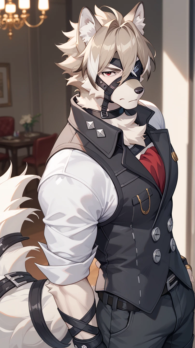 Wolf,Pure white fur,belt,Handsome,hair,Butler,choker