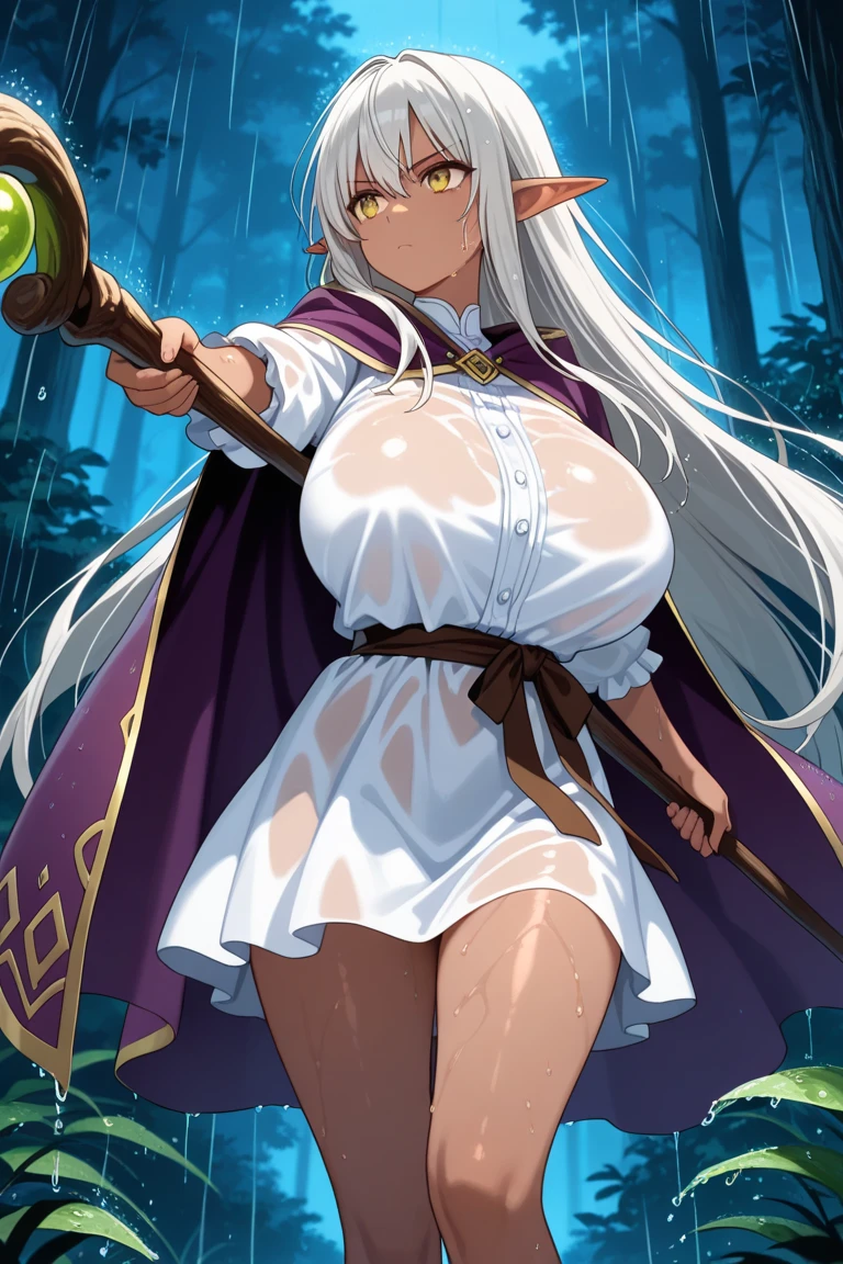 (highres, masterpiece:1.2), white hair, (robe, modest robe, modest clothes), (large breasts), thick thighs, standing, pelvic curtain, sword, thighhighs, v-neck, blue eyes, expressionless, long hair, forest in background, cape, ponytail