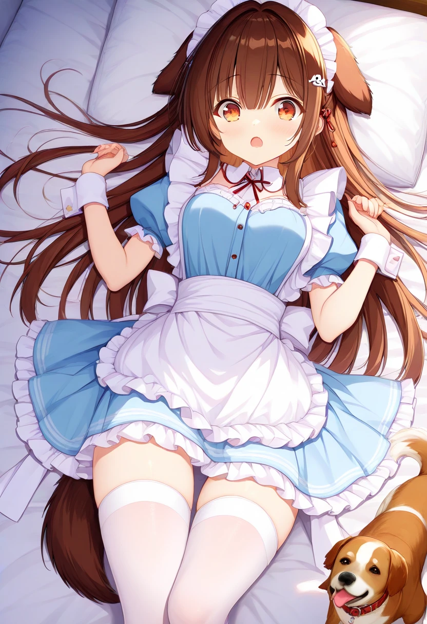 (masterpiece), (Highest quality), High resolution, (Very detailed), (Best illustrations), (Best Shadow), (so beautiful), (very cute), (Absurd), (Blue background), (Blue Room), (Blue carpet), round-shaped face,
(Highly detailed face), Perfect limbs,
(Minase Iori), 14 year old girl,
Dark brown hair, Long Hair, Long Hair, Shiny Hair, Brown eyes, ribbonが付きのヘアーバンド, ribbonが付きヘアークリップ,
Beautiful small breasts, Shyness, smile, Pitiful, Her behavior is very quiet.,
Perfect limbs, Perfect Anatomy, Thin legs, Intricate details, Five perfect fingers, One person, so beautiful少女, very cute少女,Big eyes, slender, Tight waist, (White knee socks),
Beautiful Skin, Wet, sexy,Charm, full body of a young girl,
(One person、solo:1.3), Full Shot,
Erotic, ,
Victorian maid outfit, Short skirt, ribbon,
Underwear with pink stripes, White frilly underwear, 小さいribbonが付いてる下着,
Beautiful legs standing with slightly open legs, View from the front and slightly below,