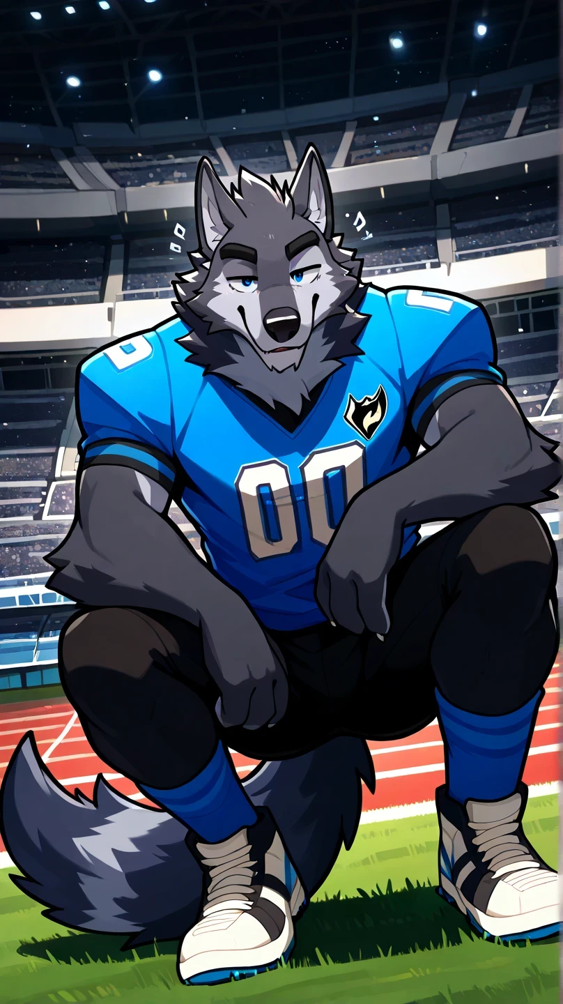 depth of field, background American football field, eye Reflections, Reflections, dutch angle, anthropomorphic, adult, male black wolf furry, hairy, no human, lobo tail, sound effect , seductive expression, seductive gaze, sound effect , Lines of Motion, by gr3yyy , blue eyes, Masterpiece, best quality, incredible quality, very aesthetic, absurd, NEW , eyes focus, 1 , hairy, lobo , Alone , eyes, lobo, animal ears, Lycra tights color blue, blue American football jersey, of 19 around neck, of 19, wolf boy , wolf ears, full body, lobo' wears American football uniform, in a stadium, hands , wolf tail, watching the spectator, , front position, squatting, Squat pose, Alone, lobo ears, white sports sneakers, American football furry, squatting in the front