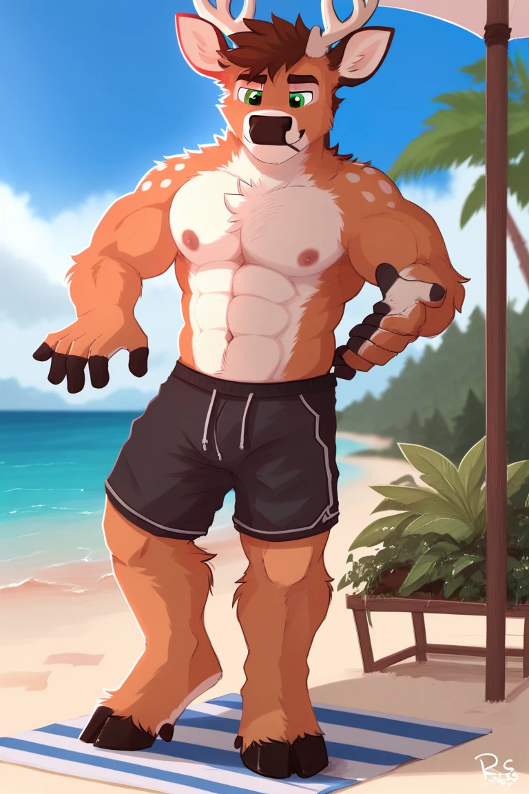 male, anthro, muscle, kemono, dragon, blue, water-breathing, shorts, sunglasses, beach, half length portrait