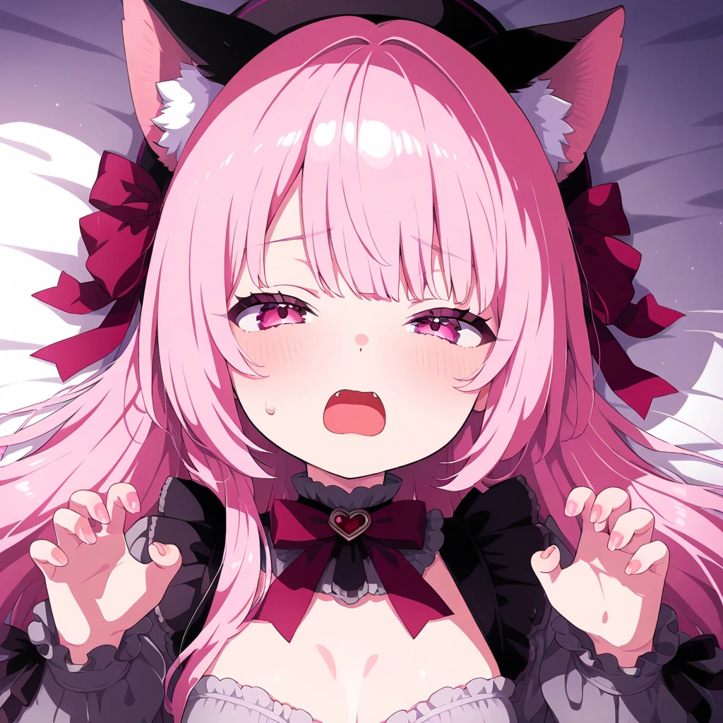 Cat ear、Pink Hair、Lolita pink、Red eyes、Half-eye sauce、Looking at me、Moe sleeves、Ahoge、Double teeth、laughing、Black cat、Big Breasts