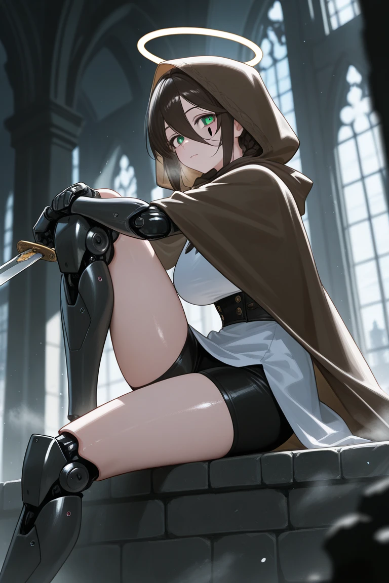 extremely detailed, anime, Lighting from the front,
(Ellen 18-years-old, short dark layered hair, Brown-eyed, small breast:1.0),
Fantasy rogue outfit, rogue hood, groin, spread legs , grin