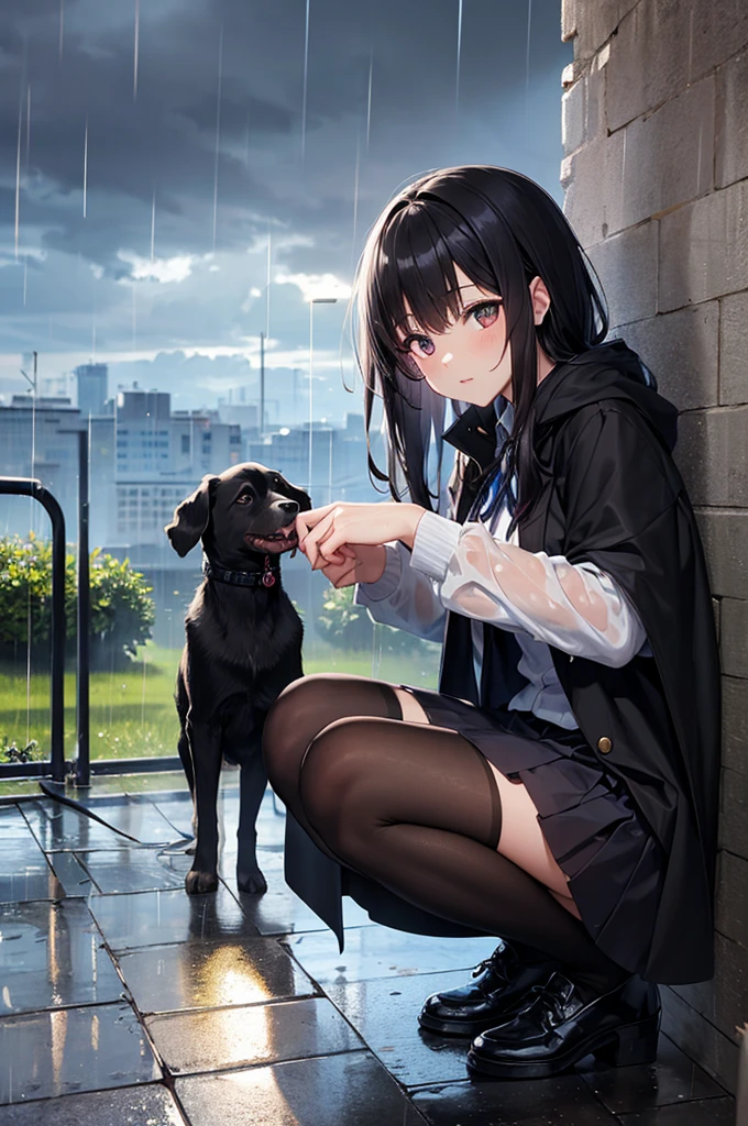 cute girl and cat. cute clothes, skirt, squatting, torrential rain, umbrella