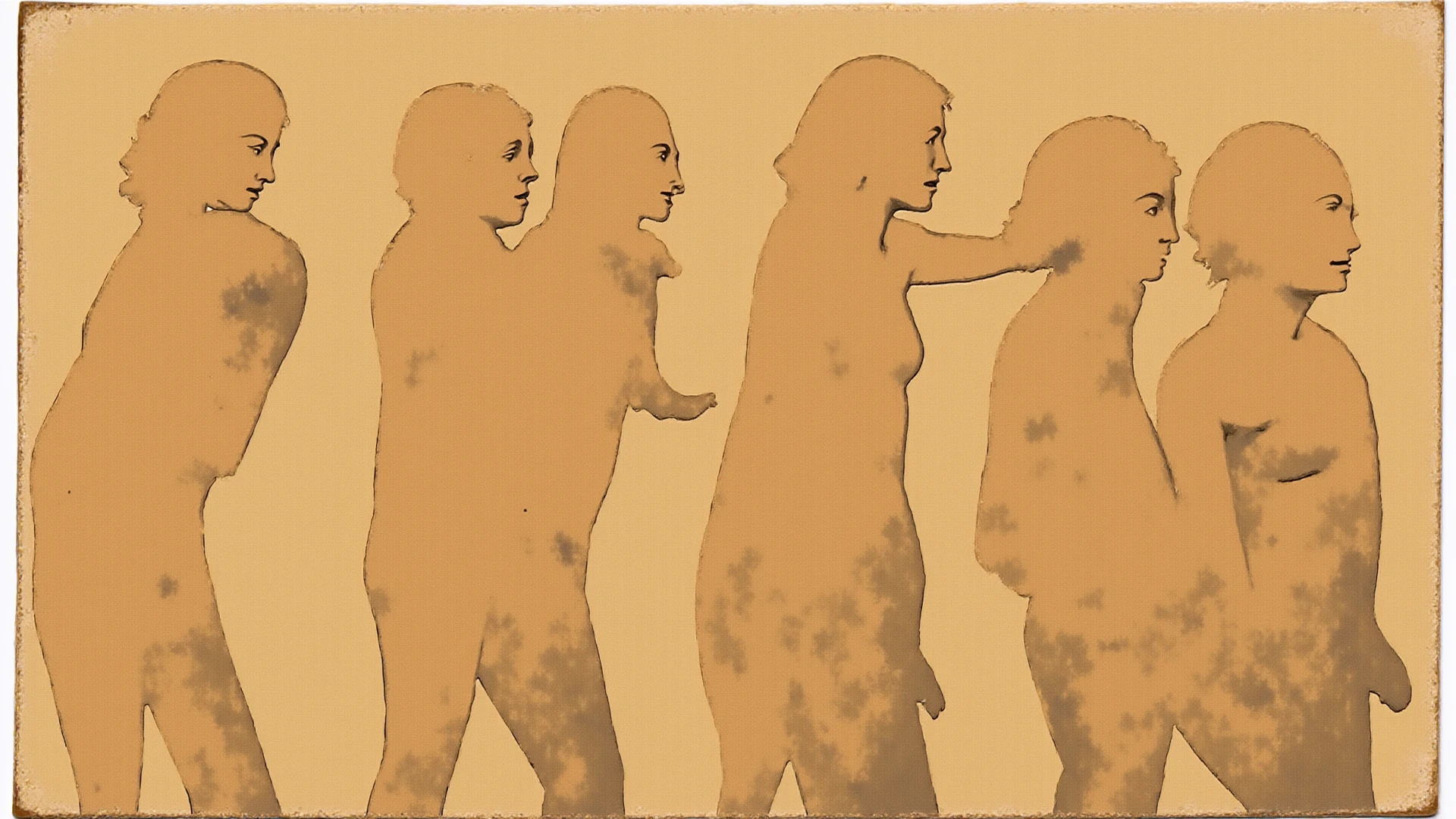 Evolution