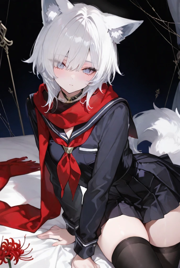 rumia,black pantyhose,young girl,shoulder cutout,big breasts,red eyes,solo,black parka,dreamy forest,midnight,starry sky