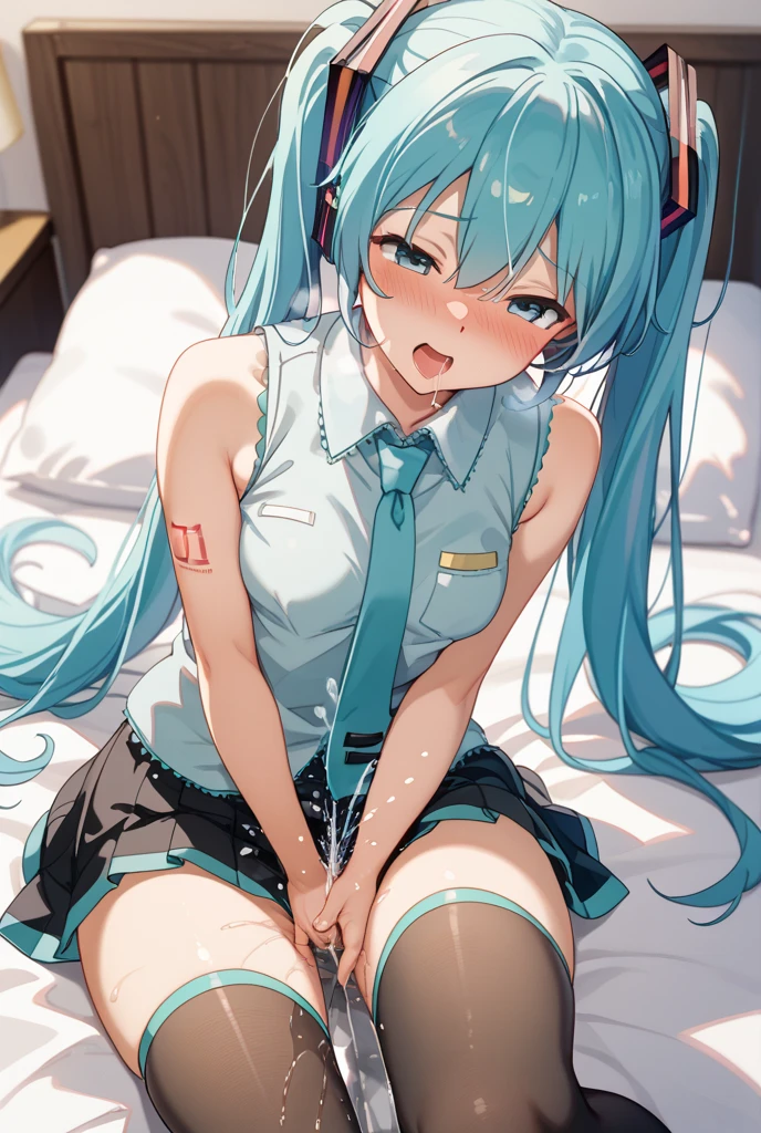 ((highest quality)), ((masterpiece)), ((detailed)), ((NSFW)), ((Sex)), ((Sexy expression)), ((heart shaped pupils)), ((steam)), ((Creampie)), ((Hatsune Miku)), ((clothed)), ((skirt lift)), ((On the bed)),