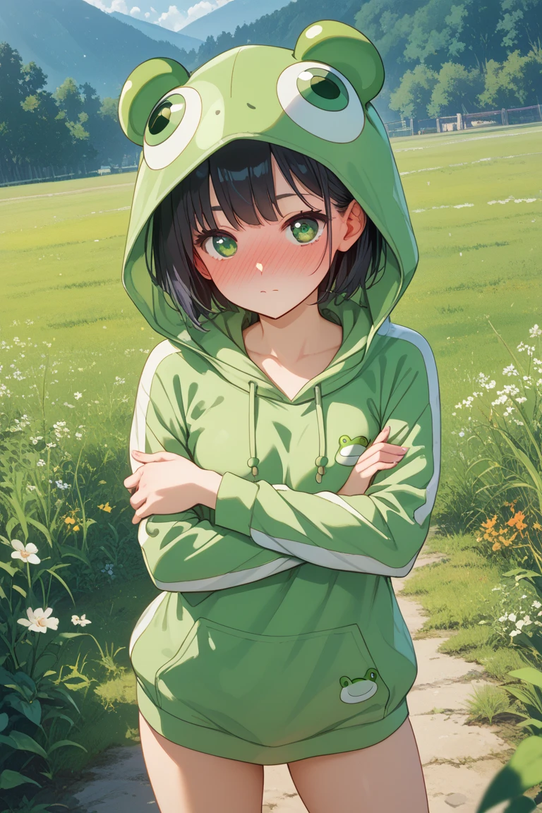 grassland,smile,close your eyes,Small child 1, 1,short hair,Black Hair,blush,White skin,From below,shy,Wet,Please open your mouth wide,Cowboy Shot,Look forward,Green frog costume,