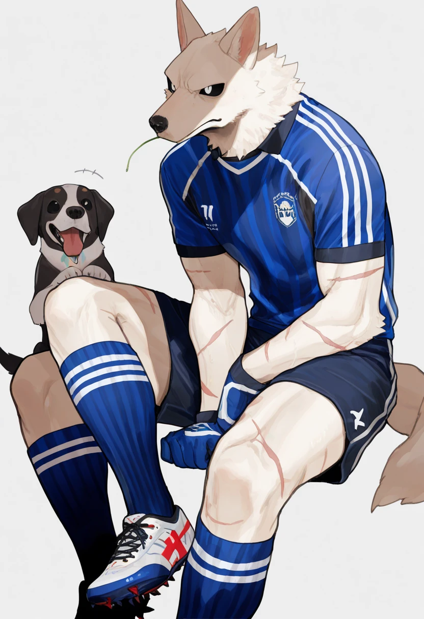 Wolf, wearing a motogp racing suit, 4k motogp outfit, standing, big hard dick , straight up dick, erects dick, 4k cum, far cum force, cum at face, moaning face, 4k dick, hard dick stand still, 4k image, uhd details, nice side view, understanding image, at counter