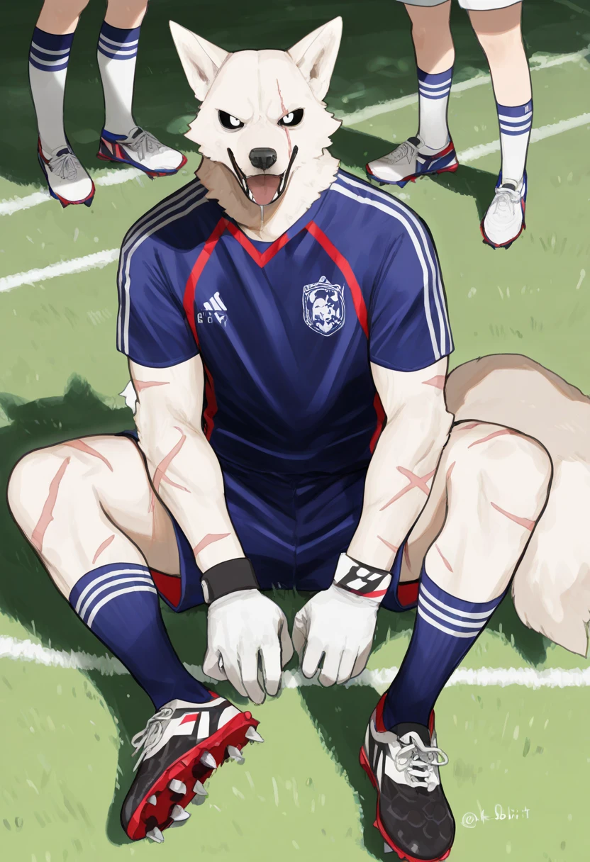 Football Socks,shorts,toe,No clothes on,Showing a little muscle,football field,White socks,dog,fur,exhibit,Shota,hairy