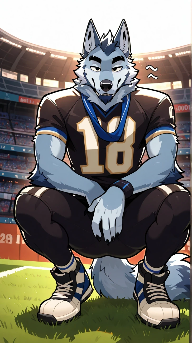 depth of field, fondo campo de American football, eye Reflections, Reflections, dutch angle, anthropomorphic, adult, male wolf furry, hairy, no human, lobo tail, sound effect , seductive expression, seductive look, sound effect , Lines of Motion, by gr3yyy , Greyy art , black eyes, Masterpiece, best quality, calidad increíble, very aesthetic, absurd, NEW , eyes focus, 1 , hairy, lobo , Alone , squatting, hands sobre las rodillas, squatting pose, eyes, lobo, animal ears, Lycra tights white color, jersey de American football color azul claro, of 19 around neck, of 19, wolf boy , wolf ears, full body, lobo' viste uniforme de American football, in a stadium, hands , wolf tail, watching the spectator, , front position, squatting, pose squatting, Alone, lobo ears, white sports sneakers, American football , grabbing his crotch