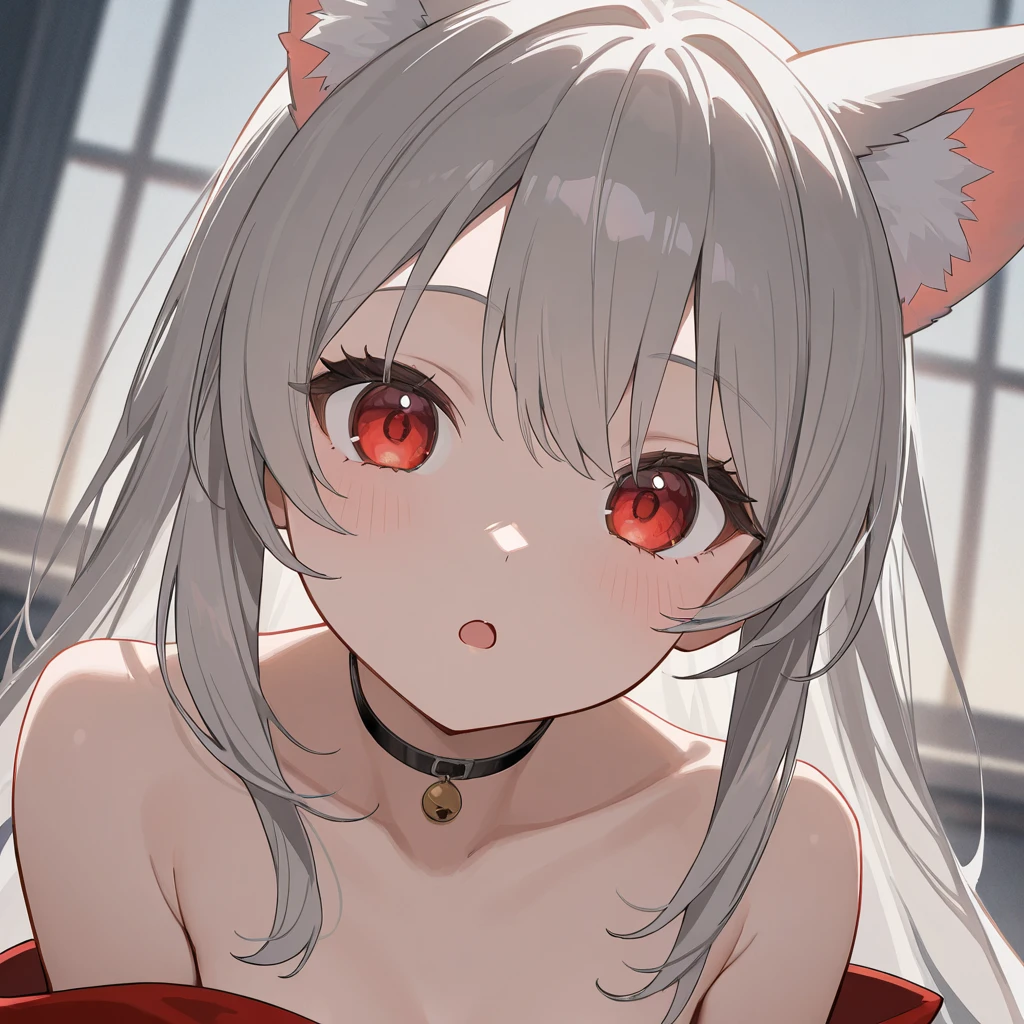 short hair, (red eyes:1.5), animal ears, tail, white hair, shorts, cat ears, cat tail, curly hair, (small breast:1.2), BREAK looking at viewer, BREAK outside, BREAK (masterpiece:1.2), best quality, high resolution, unity 8k wallpaper, (illustration:0.8), (beautiful detailed eyes:1.6), extremely detailed face, perfect lighting, extremely detailed CG, (perfect hands, perfect anatomy),