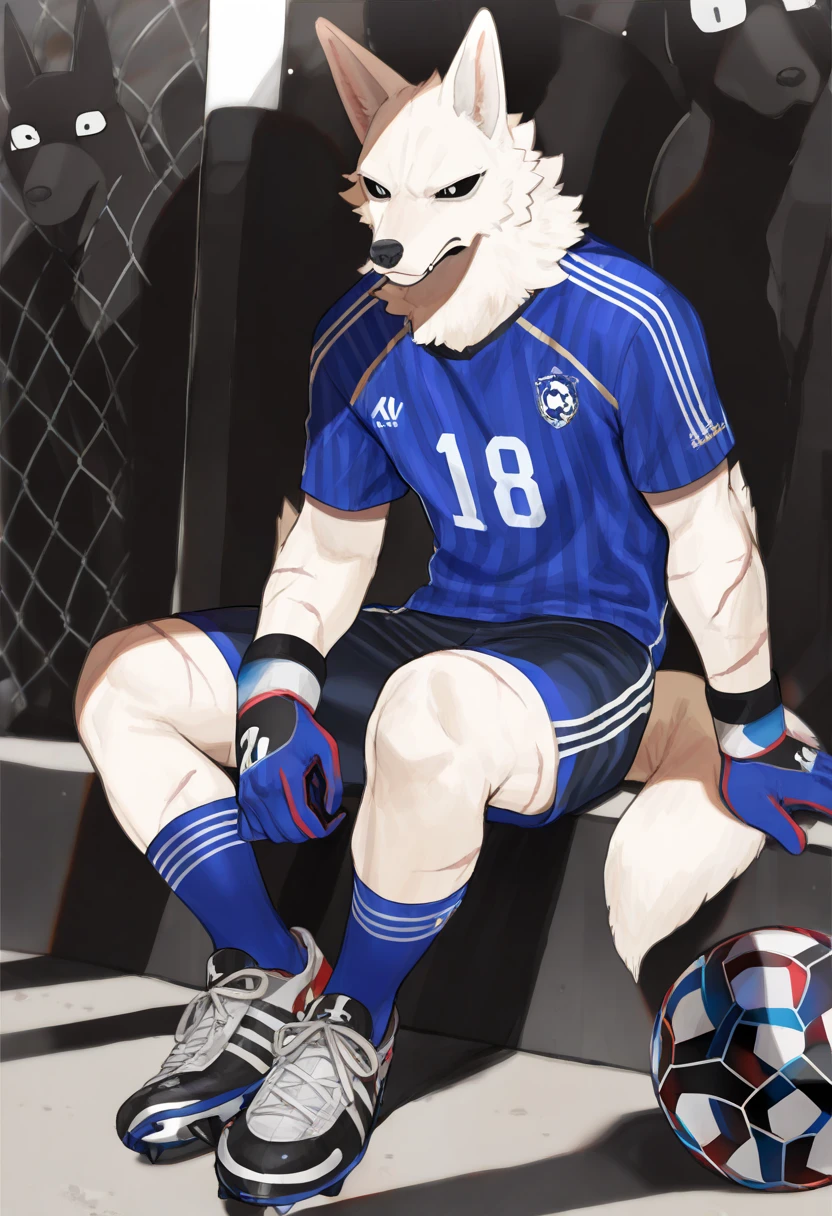 Wolf wearing motogp racing suit, humpping on punching bag, showing big dick erecting, dick feels so hard, cum true, moaning face, cum force