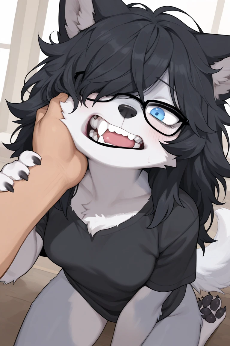 score_9,score_8_up,score_7_up, sierra, a young nerdy Anthro furry wolf woman, white furry body, tall, awkward, long black messy hair, hair covering one eye, long black hair, blue eyes, black glasses, small breasts, white wolf tail, naked, pov, devious smile, she is holding faceless human males cock, simple white background, male is cropped out, she is nuzzling males cock, pressing cock against her cheek, side view, she is looking at human male
