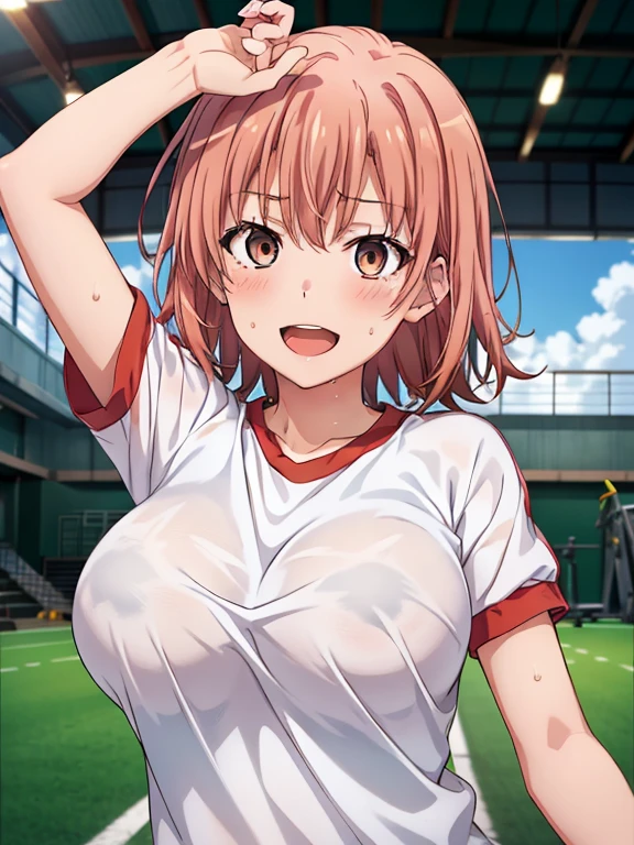 ((highest quality, High resolution, Perfect Pixel, 4k)), (1 girl), (Beautiful Anime Girls),
Watching the audience,
Perfect body,
yuigahama yui, (Big Breasts:1.5)、Detailed eyes、Brown eyes、、Chibi Character、
(blush:1.3)、smile、Grin、
wearing navy buruma and gym uniform with colored hem,
Depth of written boundary、
Focus on the chest、(Sweat:1.3)、null、cloud、Armpit、
Selfie、