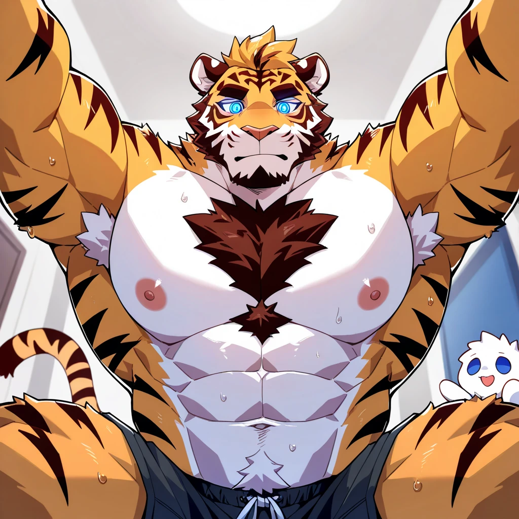 Tiger Orcs、hot onsen、Muscle tissue、the only person、Comfortable