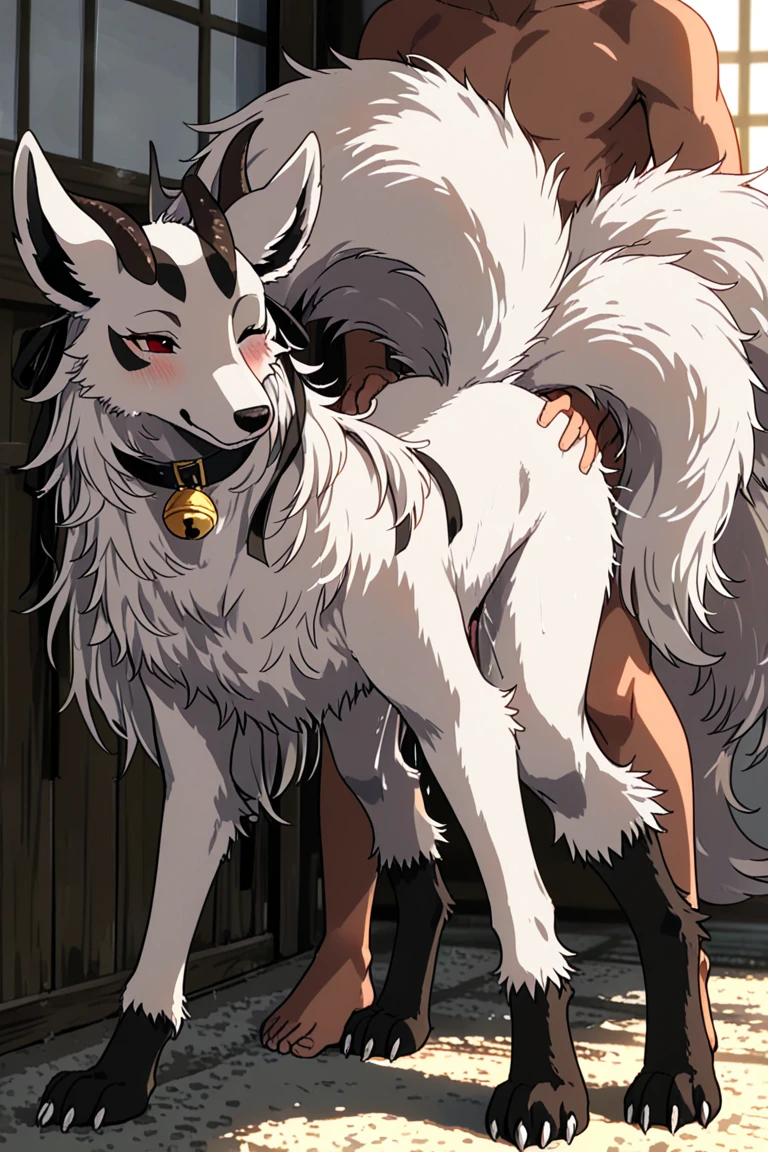 alone girl, human girl, black hair, long hair, kimono, white kimono, scarlet hakama, torn kimono, bestiality, on all fours, animal white wolf, lots of white wolves, huge white wolf cock, huge white wolf penis, sex with lots of white wolves, sex with huge white wolf, double penetration, hard sex, penis as thick as an arm, dick as thick as an arm, (huge penis: 1.6), in girl's pussy, girl's belly bulging with cock, lots of cum, girl's ahegao, outdoors, zoo