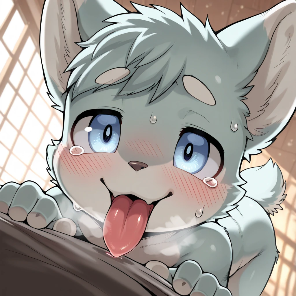 white tiger,room background,drooling,sweating,serious expression,tough,penis,naked,sweating,Rough breath,soft penis,Oral,oral,cum,shota,kemono