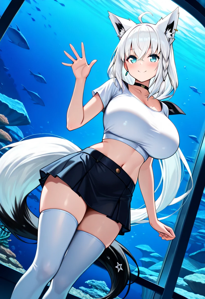 Shark girl, very sexy, big breasts, Wearing a short white sports shirt and shorts,