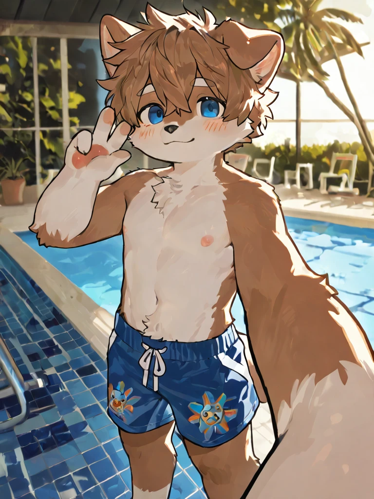 hairy,Shota,swim,(best quality),(masterpiece),Wear only briefs,no shirt,No coat,lying down