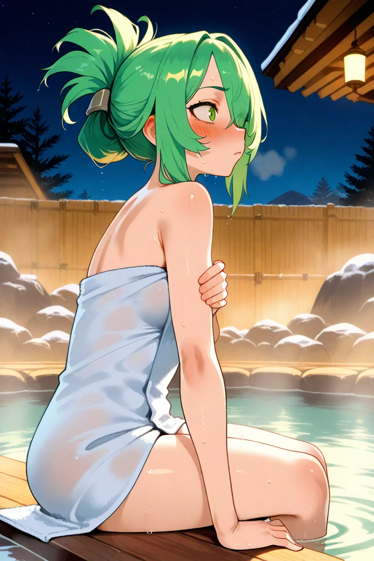 score_9, score_8_up, score_7_up, score_6_up, score_5_up, score_4_up, (source_anime), 1girl, Full body ,Night, kimetsu no yaiba, {{mitsuri kanroji }}, massive breasts, natural Hot spring, steam, Naked, love hashira, massive ass, pussy, florest, Inverted nipples, Sweaty, nature, pussy hair