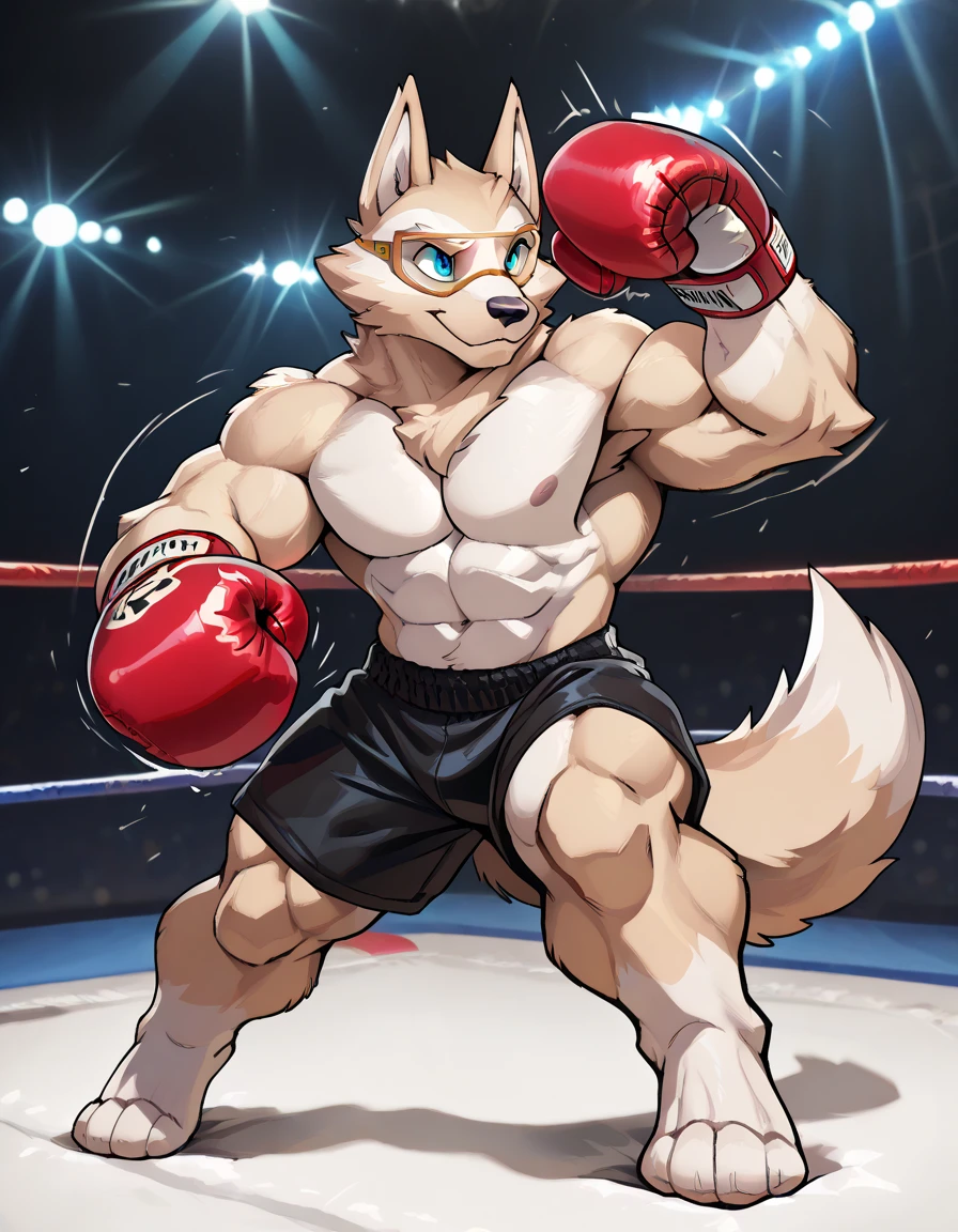 Detailed picture of a confident male anthro, (caracal, glossy golden fur, lean body,) in a boxing stadium, trending on Art Station, Ross Tran, ruan jia, foxovh, ((standing ready to throw a punch, hands poised, wearing red shorts, boxing gloves,)) (((dynamic lighting,)))