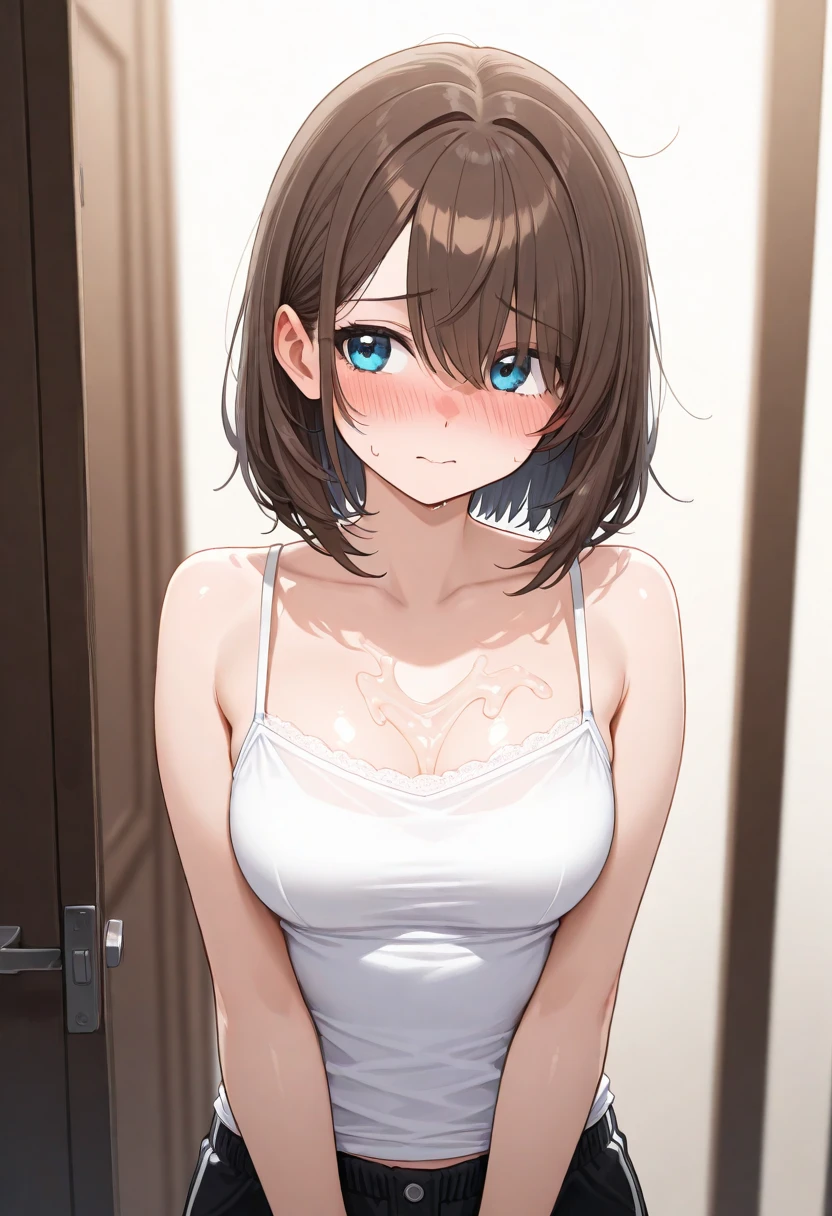 1girl
, brown hair
,light blue (bra:1.1)
, surprised, accidental pervert
, undressing
, parted lips
, small breasts
,short hair,ponytail
, blurry background
<lora:miura12:0.9>