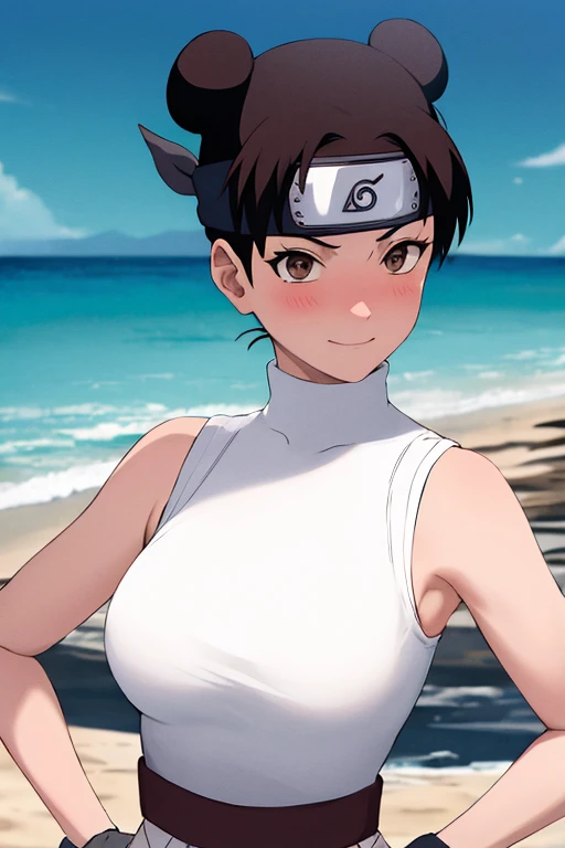 Masterpiece,Solo,1girl,Tenten,(Boruto),Big Breasts,Pussy,Perfect Body,Sexy Body Hot,High Quality,High Resolution,Photograph 16K,Beautiful,Beautiful Woman,Nude,Beach Background 