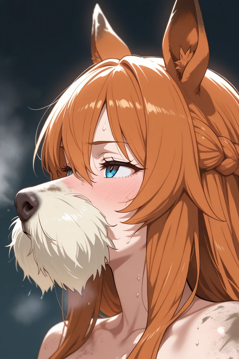 Score_9, Score_8_up, Score_7_up, Score_6_up, Score_5_up, Score_4_up, source_anime, anime style, anime screencap, 1girl, holo, cum on face
