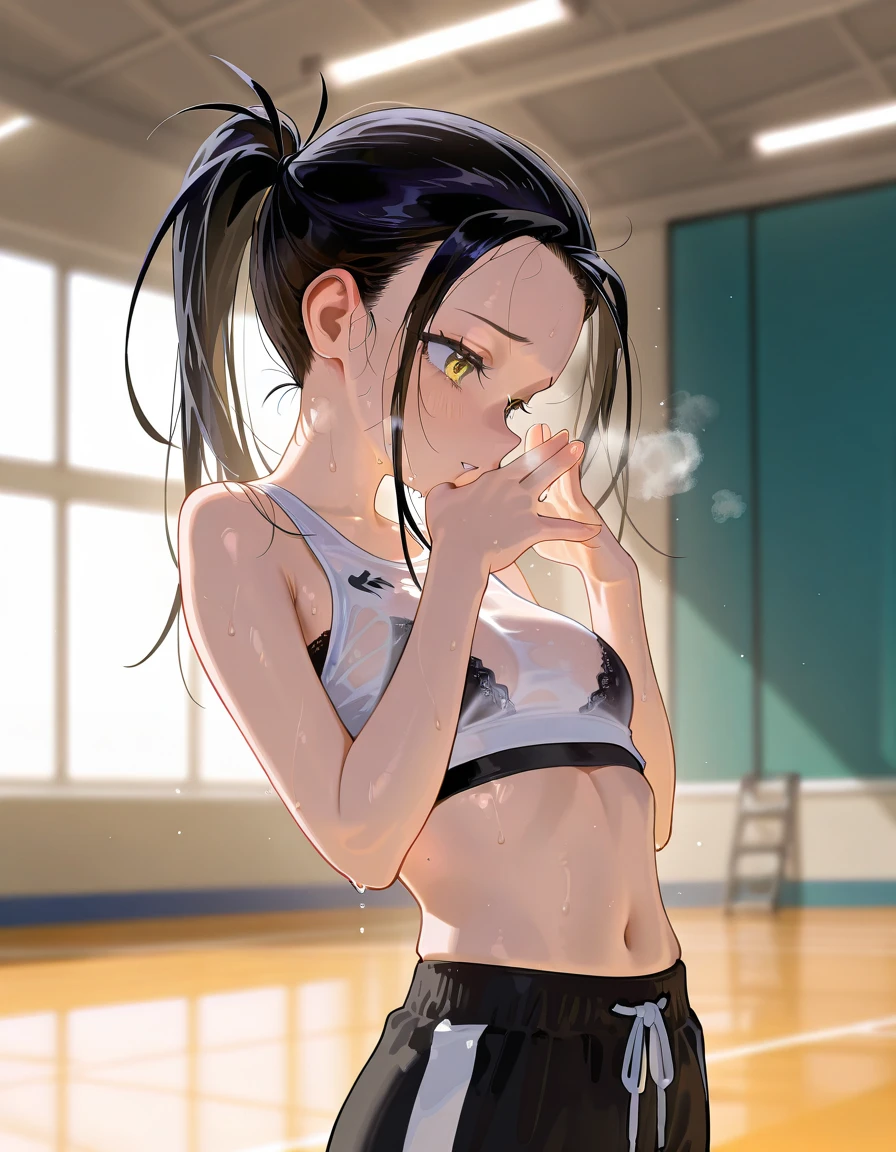 masterpiece, best quality,anime style, 1 girl,(((slender body))), (((small eyes,small breast))),(((gym uniform))),(((((3 monkey grabbing the girl))))),((((cum facial)))), (beautiful face), (((short twintail))), (((straight hair))), ((((black hair)))),detailed beautiful skin, (perfect hands, perfect anatomy)
