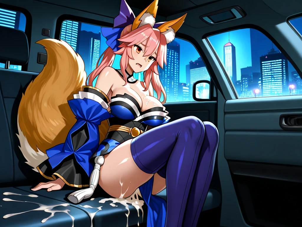 Anime Girls Cosplay,cat ears and tail,Cheating