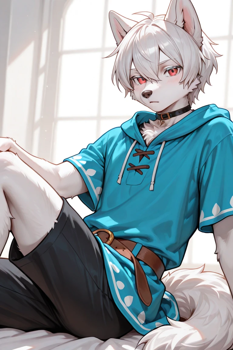 Standing painting，leisure wear，Dark red eyes，Caudas Brancas，white ear，Covered with gray hair，Shota