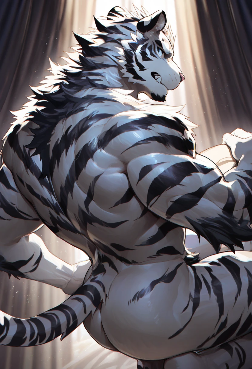 (masterpiece,highest quality,super detailed,perfect anatomy),kemono,white background,particles of light,sharp focus,by null-ghost,alone,anthro,Tiger, butt,muscular
(white fur:1.5,white body:1.5),looking at the viewer,fine eyes,thong,dog tag