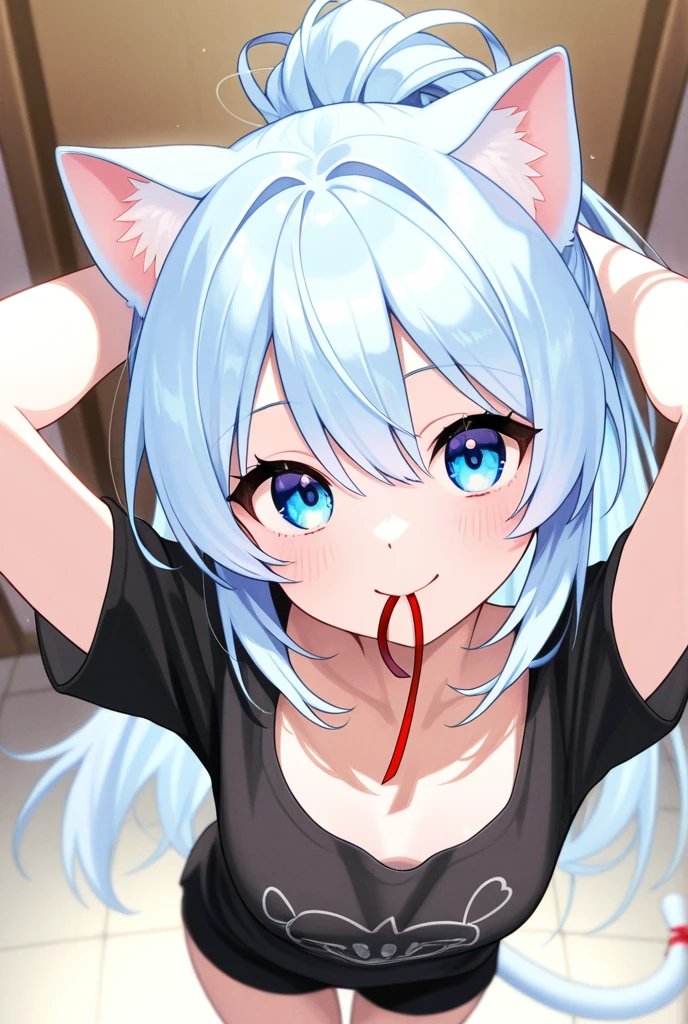 one girl, cat ears, white hair, naive, aphrodisiac, double teeth
