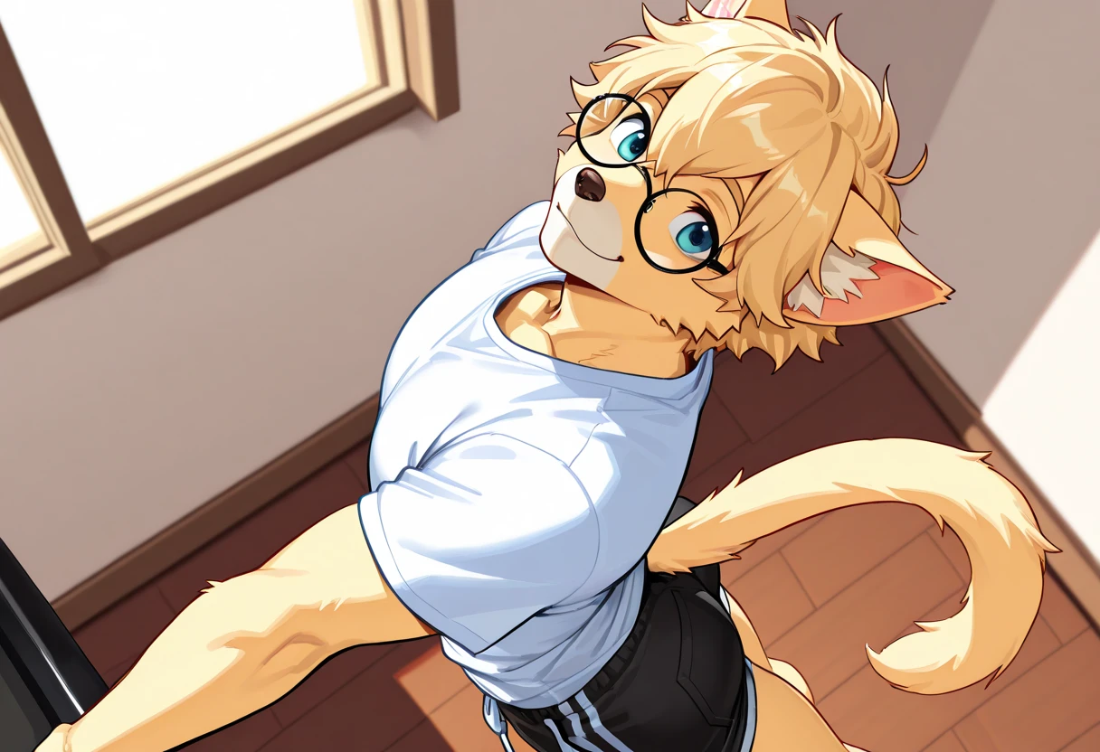 (SFW) Cute, furry, orange tabby cat boy wearing  a light gray sleeveless turtleneck virgin killer sweater, white panties with a bulge and light gray thigh-high socks, best quality, no nsfw parts