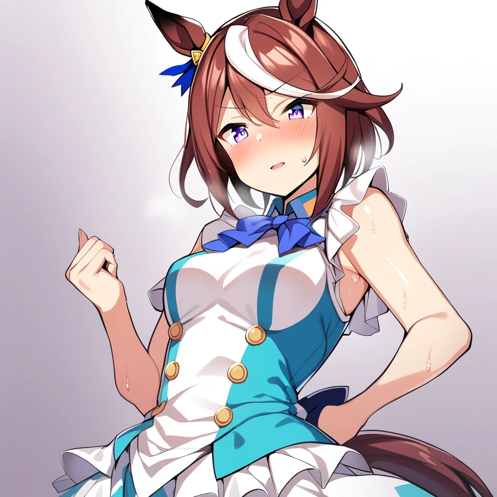 Tokai Teio \(umamusume\), ((Highly detailed eyes)), masterpiece, Highest quality, ((abnormal body, Small breasts)), (Horse tail) ,smile, blush, (indoor, office, living room), whole body, frontage, Long ponytail ,Completely naked, ((nsfw)), From behind, back,