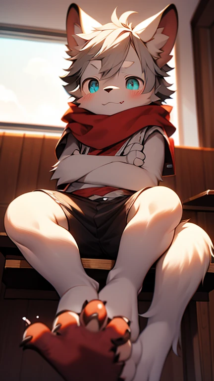 furry，A wolf，Lovely Shota，Wear black tight shorts，White color blouse，sit on chair，Lift your feet to reveal pink flesh pads