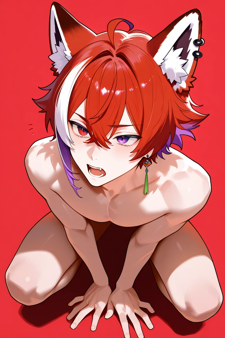 twinks raposa