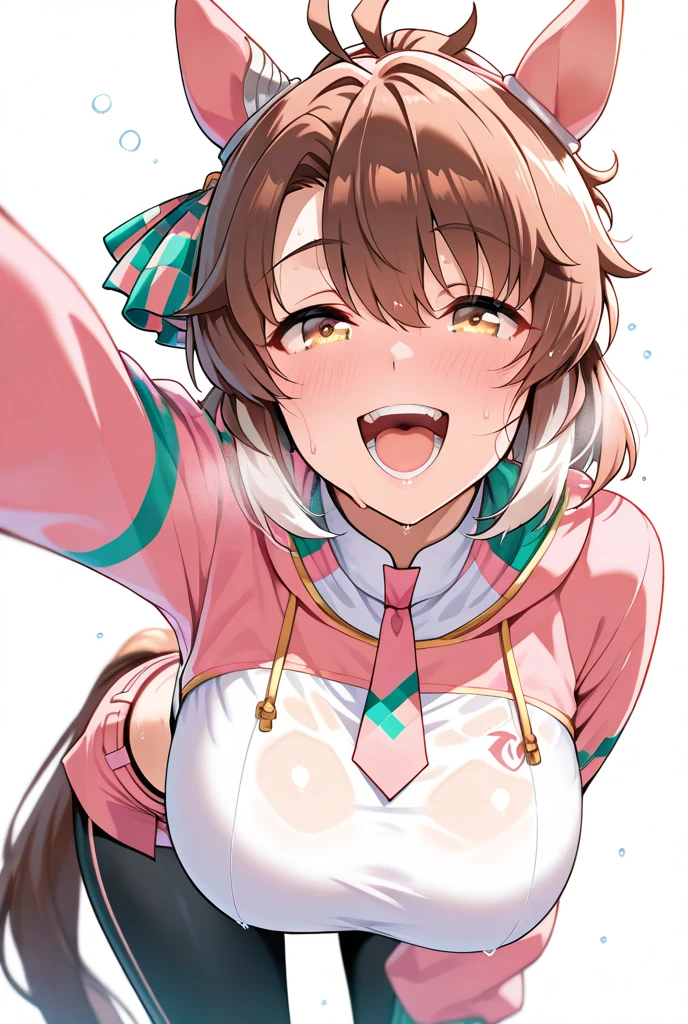 1Girl, smart falcon(umamusume), (umamusume), umamusume, shiny skin, sweat, blush, smile, v, open shirt, bra, panties, looking at viewer, (selfie), reaching towards viewer, masterpiece, best quality very, aesthetic, recent, mid,