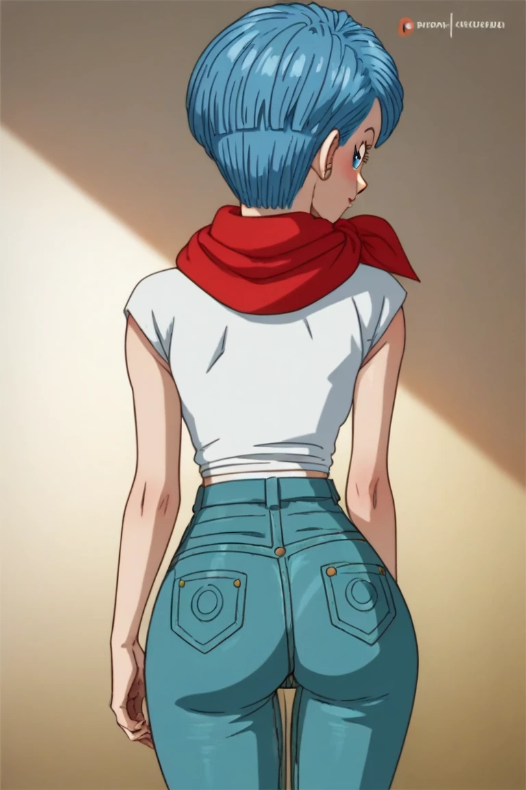 Colocar o rosto da personagem Bulma